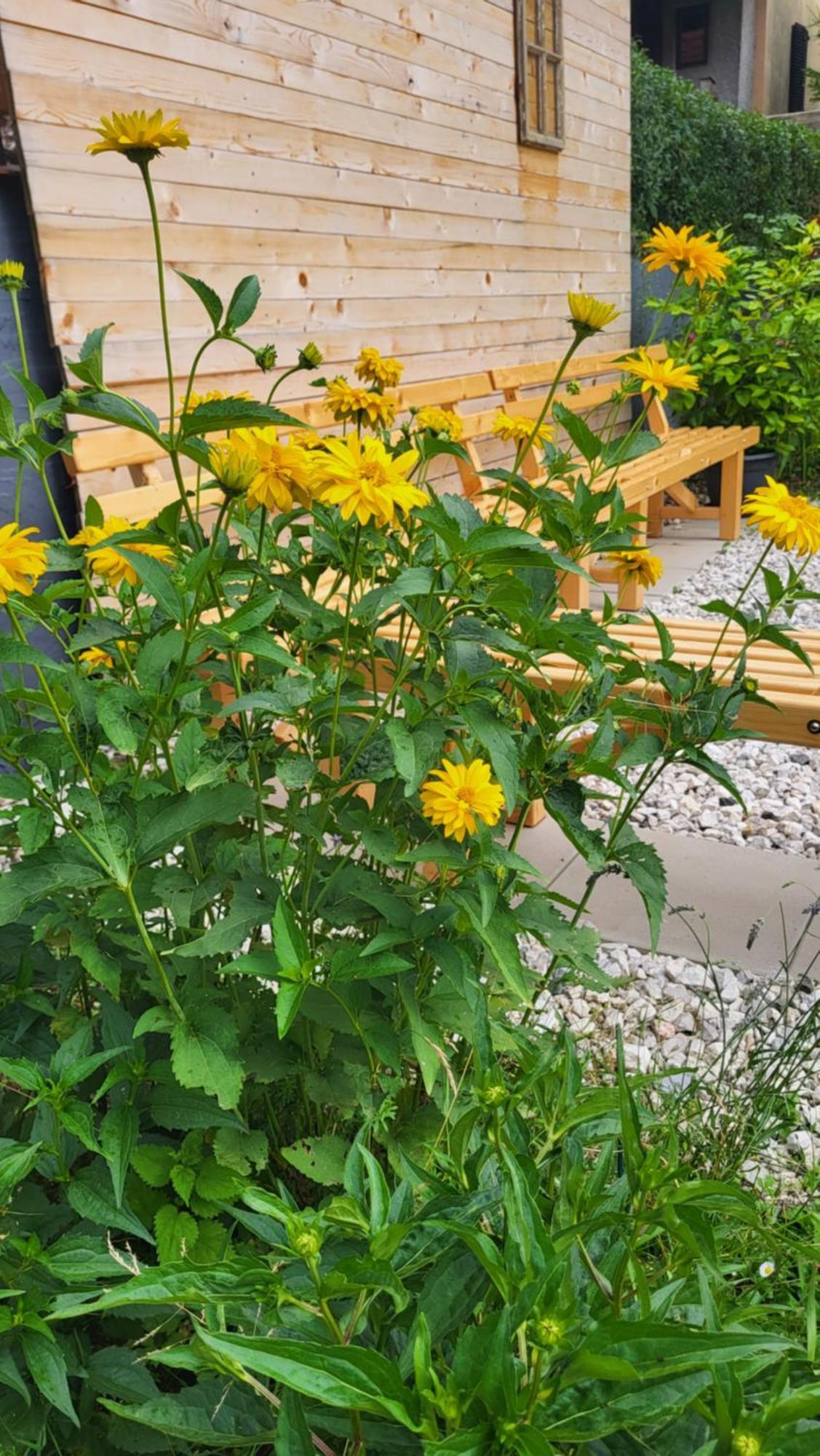 House Leska Διαμέρισμα Kranjska Gora Εξωτερικό φωτογραφία